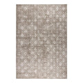 Buiten Vloerkleed Frost - Bruin/grijs- Dubbelzijdig - EVA Interior - 160 X 23...