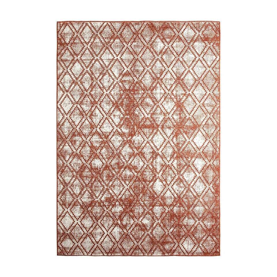  Eva Interior Buiten Vloerkleed - Frost - Roest/Wit - 200x290 Cm